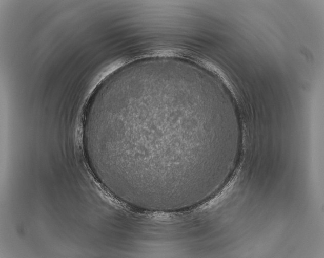 X0000111590827200907231213