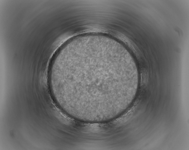 X0000111590828200907231213