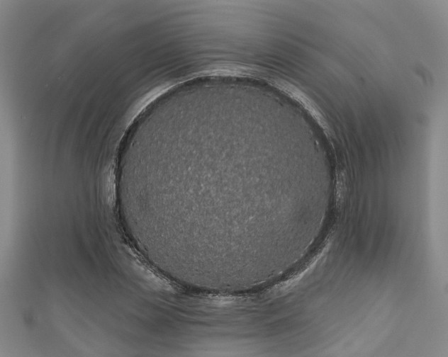 X0000111590829200907231213