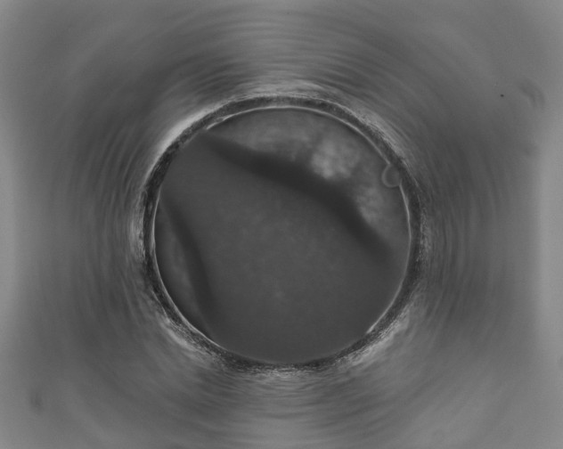 X0000111590830200907231213