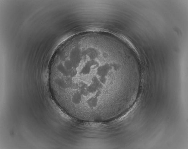 X0000111590831200907231213