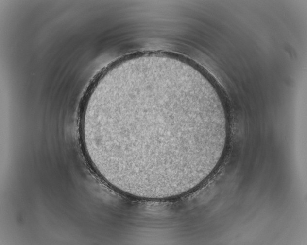 X0000111590832200907231213