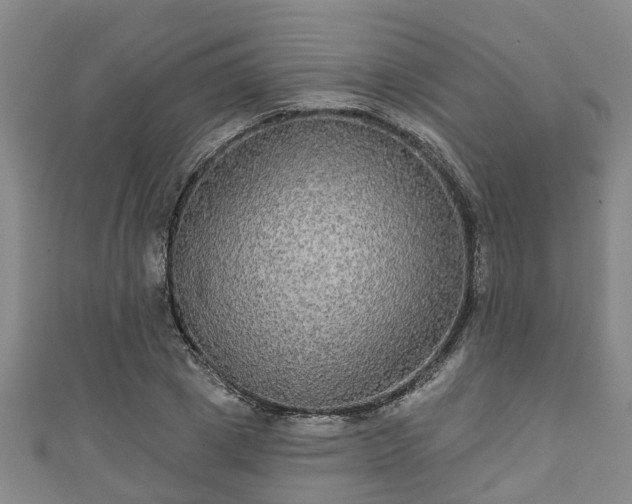 X0000111590833200907231213