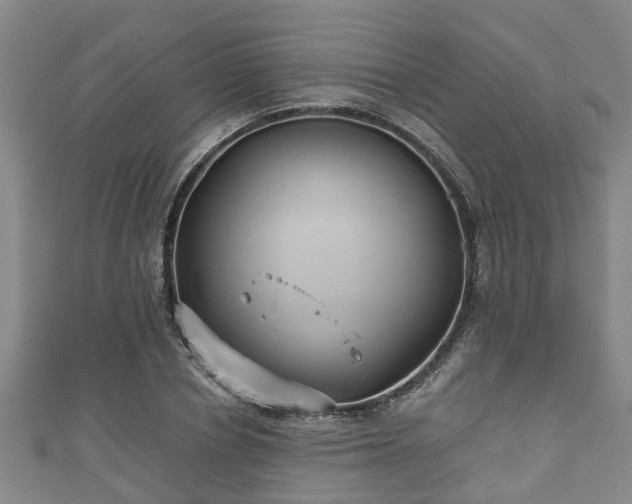 X0000111590834200907231213