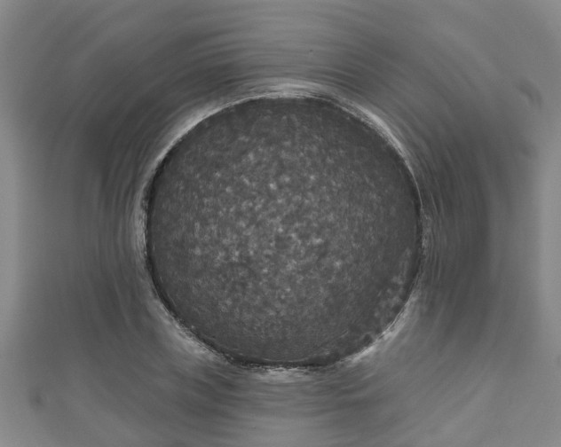 X0000111590835200907231213