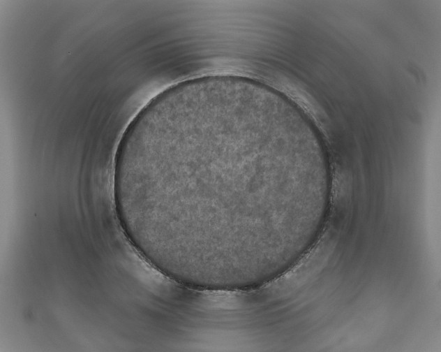 X0000111590836200907231213