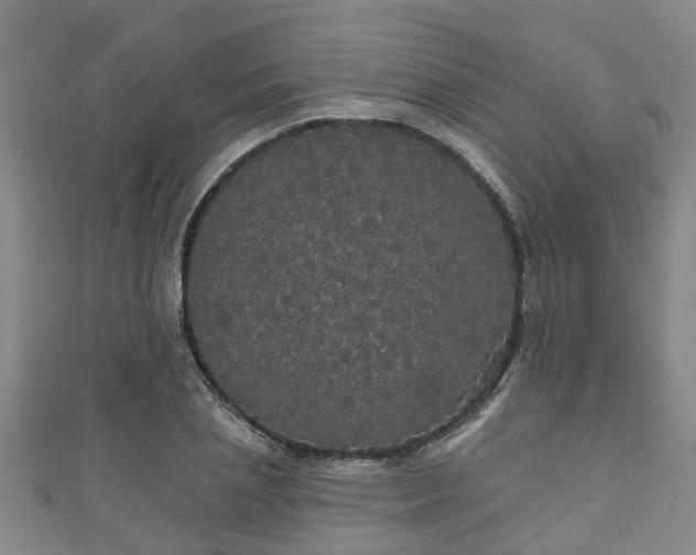 X0000111590837200907231213