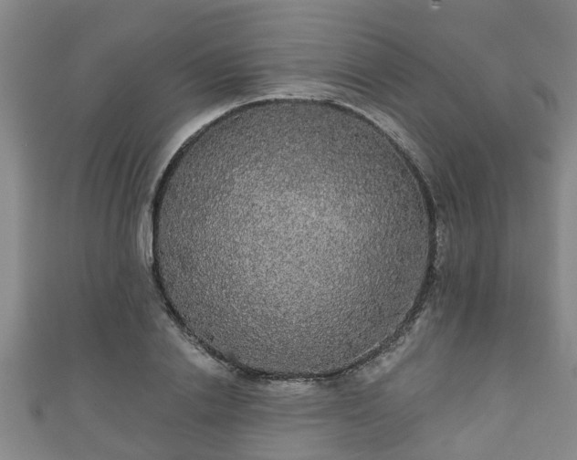 X0000111590838200907231213