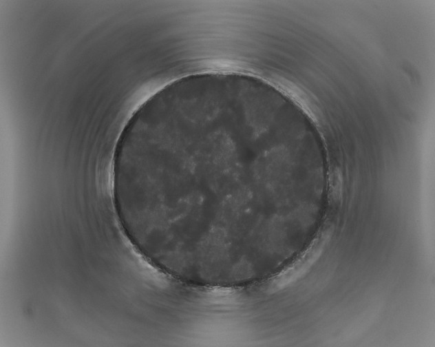 X0000111590839200907231213