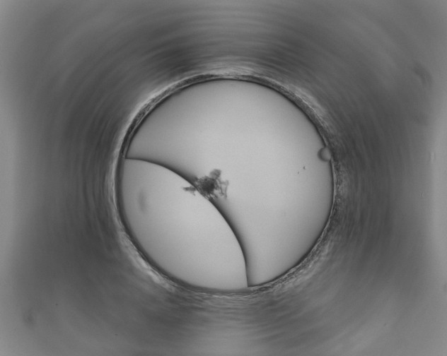 X0000111590840200907231213