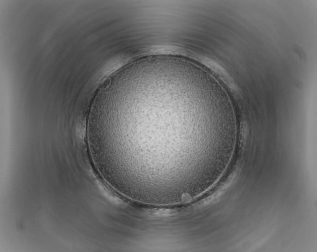 X0000111590841200907231213