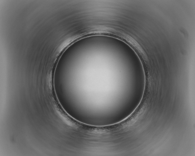 X0000111590842200907231213