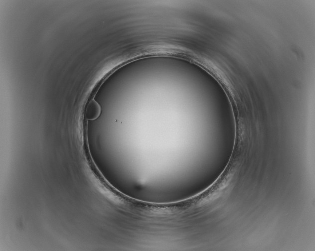 X0000111590843200907231213