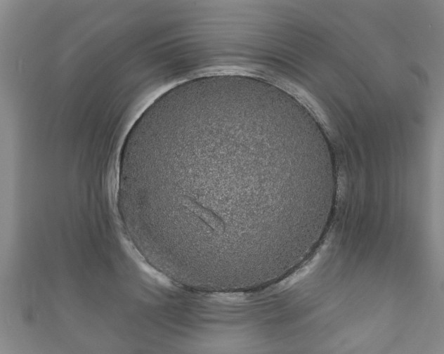 X0000111590844200907231213