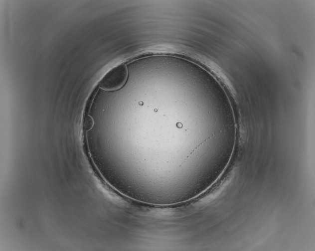 X0000111590845200907231213