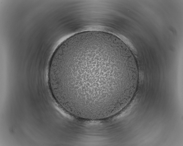 X0000111590846200907231213