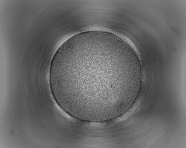 X0000111590847200907231213