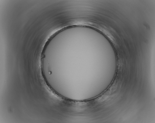 X0000111590848200907231213