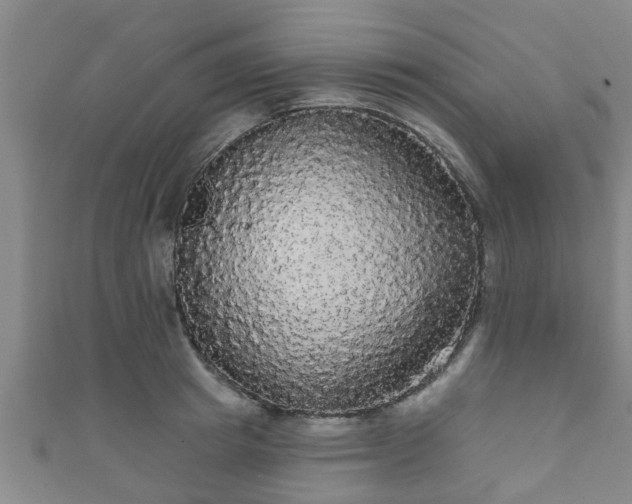 X0000111590849200907231213