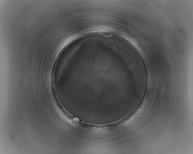 X0000111590850200907231213