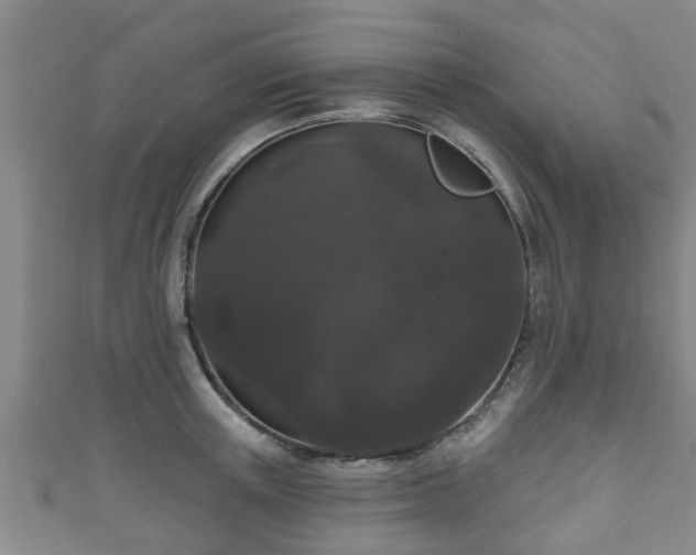 X0000111590851200907231213