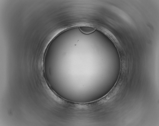 X0000111590852200907231213