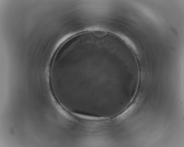 X0000111590854200907231213