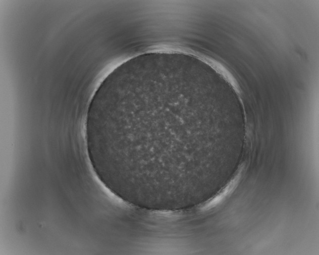 X0000111590855200907231213