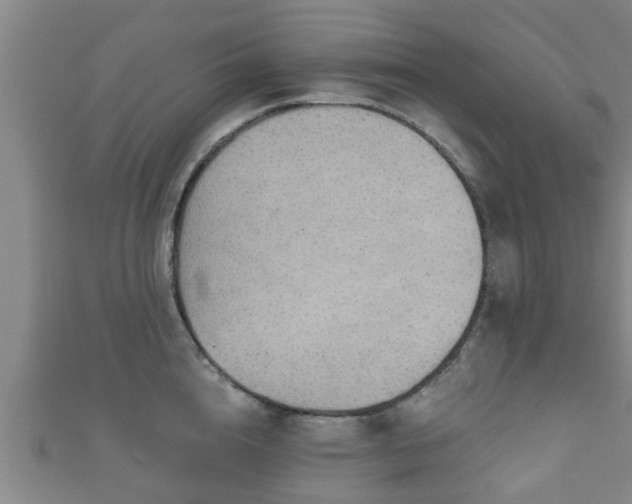 X0000111590856200907231213