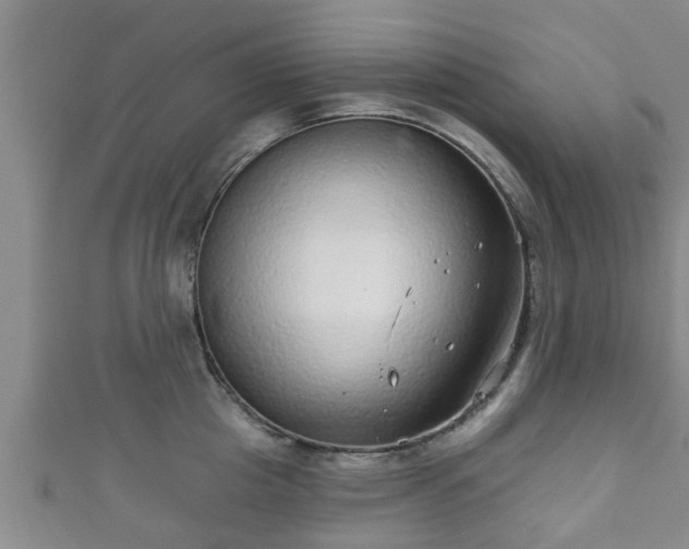 X0000111590857200907231213