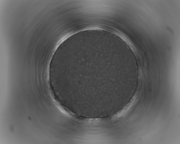 X0000111590858200907231213