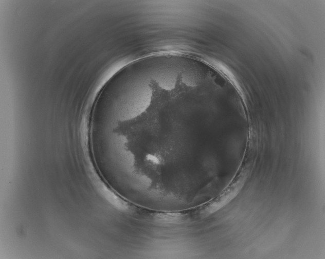 X0000111590859200907231213