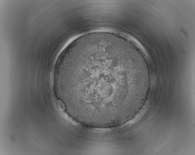 X0000111590860200907231213