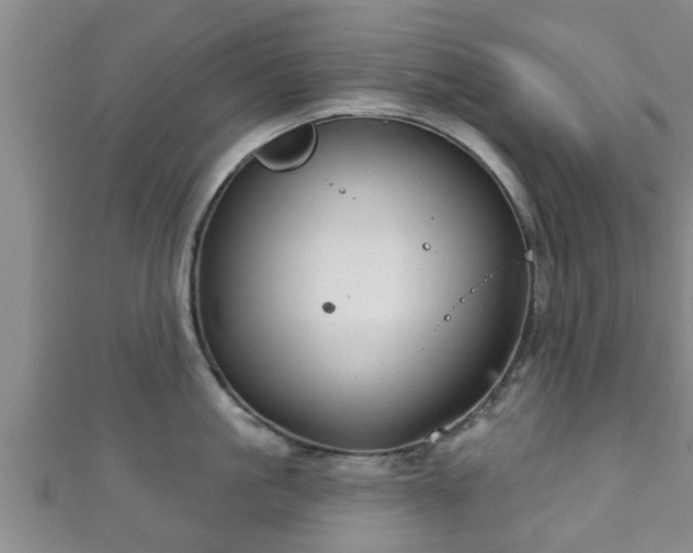 X0000111590861200907231213