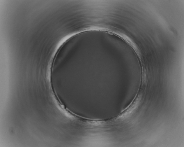 X0000111590862200907231213