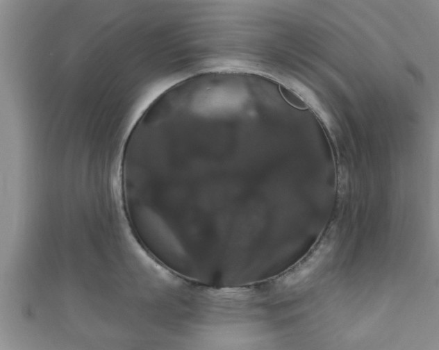 X0000111590863200907231213