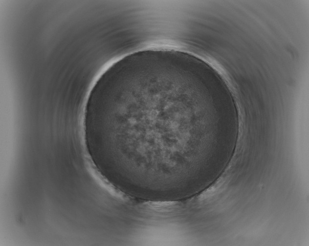 X0000111590864200907231213