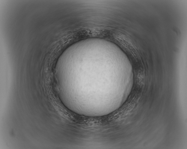 X0000111590865200907231212