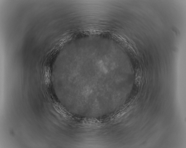 X0000111590866200907231212