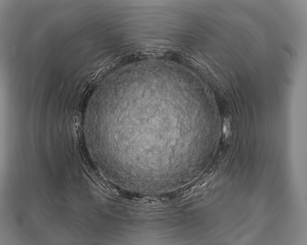 X0000111590867200907231212