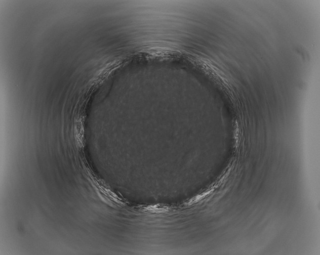 X0000111590868200907231212