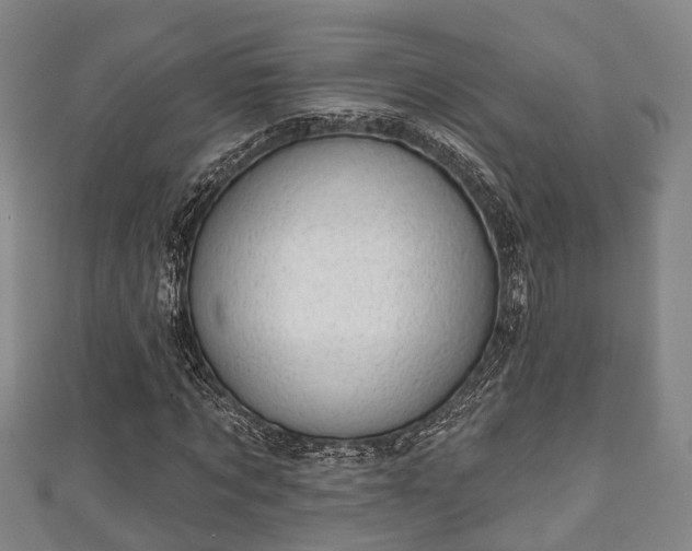 X0000111590869200907231212