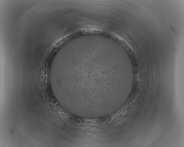 X0000111590870200907231212