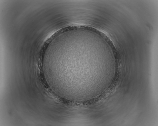 X0000111590871200907231212