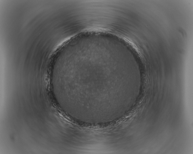 X0000111590872200907231212