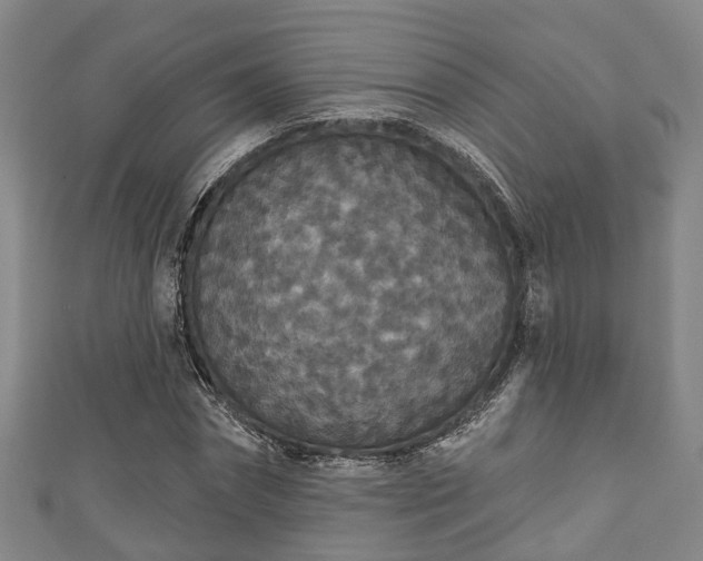 X0000111590874200907231212