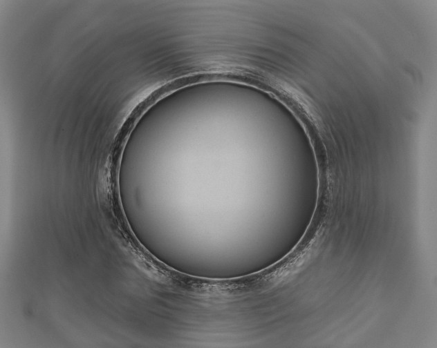 X0000111590875200907231212