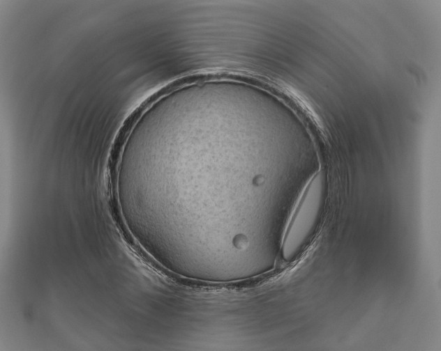 X0000111590876200907231212