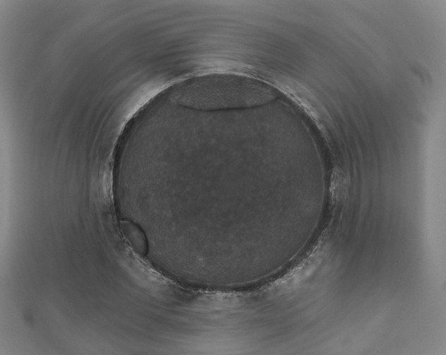 X0000111590877200907231212