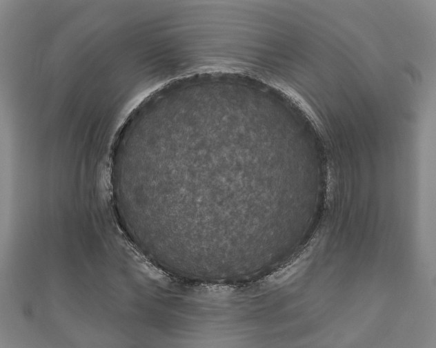 X0000111590878200907231212